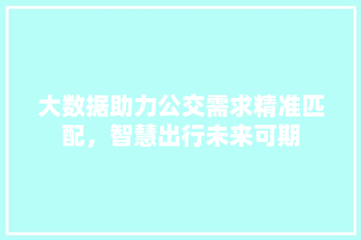 大数据助力公交需求精准匹配，智慧出行未来可期  第1张