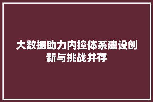 大数据助力内控体系建设创新与挑战并存