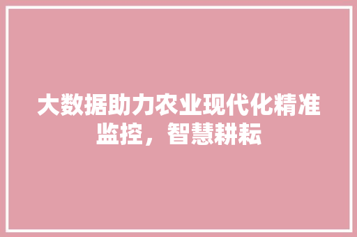 大数据助力农业现代化精准监控，智慧耕耘