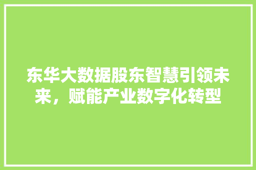 东华大数据股东智慧引领未来，赋能产业数字化转型