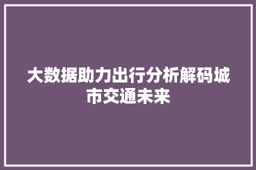 大数据助力出行分析解码城市交通未来
