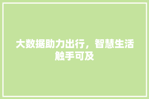 大数据助力出行，智慧生活触手可及