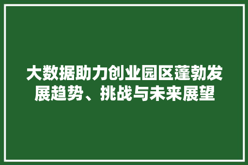 大数据助力创业园区蓬勃发展趋势、挑战与未来展望