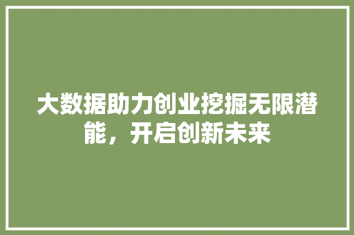 大数据助力创业挖掘无限潜能，开启创新未来