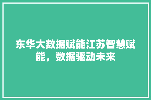 东华大数据赋能江苏智慧赋能，数据驱动未来