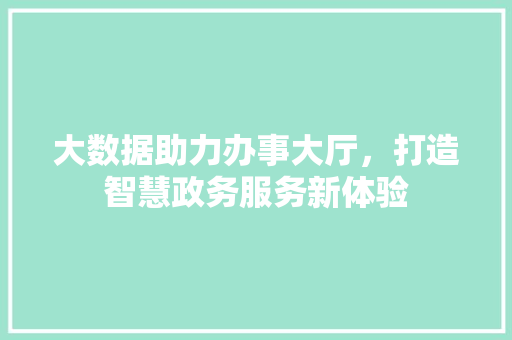 大数据助力办事大厅，打造智慧政务服务新体验