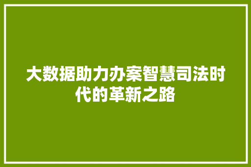 大数据助力办案智慧司法时代的革新之路  第1张