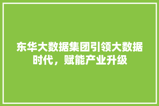 东华大数据集团引领大数据时代，赋能产业升级