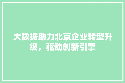 大数据助力北京企业转型升级，驱动创新引擎