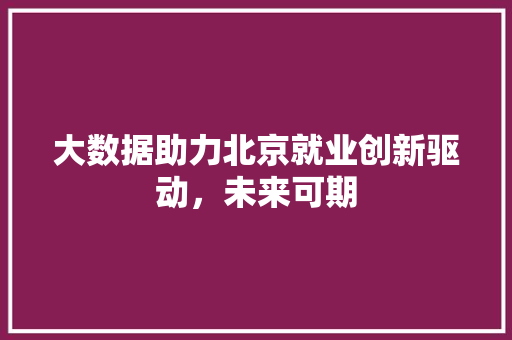 大数据助力北京就业创新驱动，未来可期
