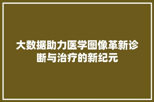 大数据助力医学图像革新诊断与治疗的新纪元