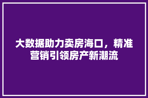 大数据助力卖房海口，精准营销引领房产新潮流  第1张