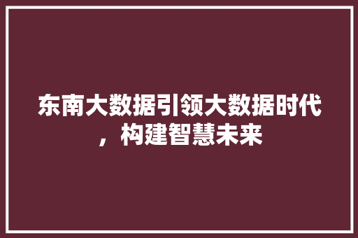 东南大数据引领大数据时代，构建智慧未来
