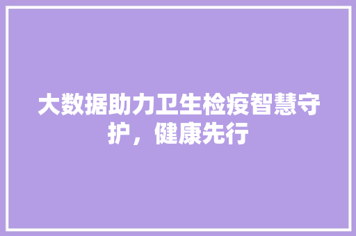 大数据助力卫生检疫智慧守护，健康先行  第1张