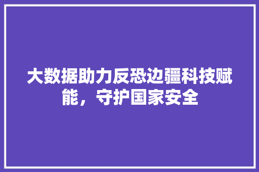 大数据助力反恐边疆科技赋能，守护国家安全