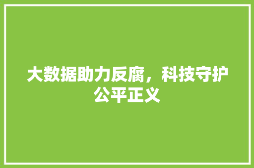 大数据助力反腐，科技守护公平正义