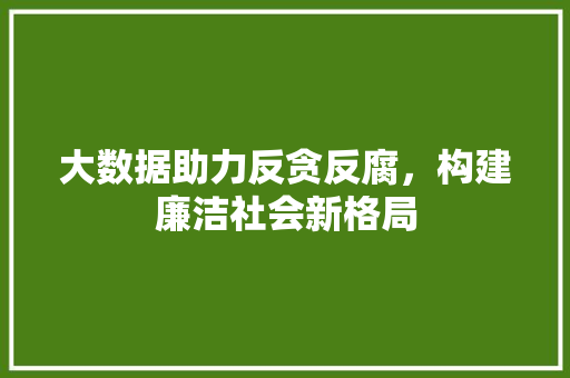 大数据助力反贪反腐，构建廉洁社会新格局