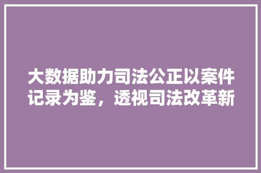 大数据助力司法公正以案件记录为鉴，透视司法改革新路径  第1张
