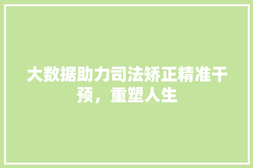 大数据助力司法矫正精准干预，重塑人生