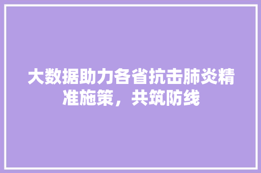 大数据助力各省抗击肺炎精准施策，共筑防线  第1张