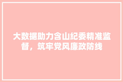 大数据助力含山纪委精准监督，筑牢党风廉政防线