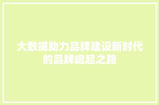 大数据助力品牌建设新时代的品牌崛起之路  第1张