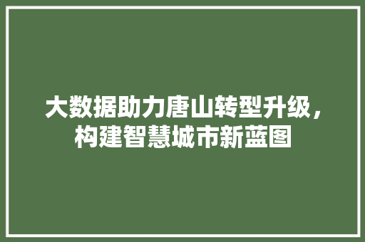 大数据助力唐山转型升级，构建智慧城市新蓝图