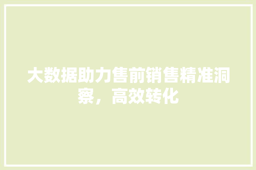 大数据助力售前销售精准洞察，高效转化
