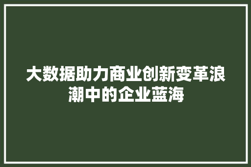 大数据助力商业创新变革浪潮中的企业蓝海