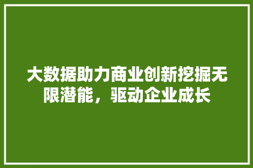 大数据助力商业创新挖掘无限潜能，驱动企业成长