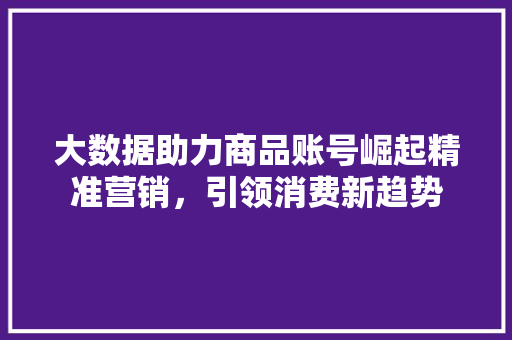 大数据助力商品账号崛起精准营销，引领消费新趋势  第1张