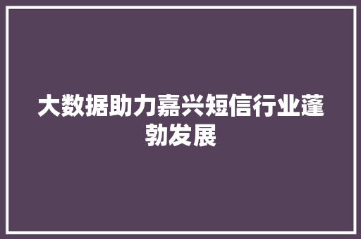 大数据助力嘉兴短信行业蓬勃发展