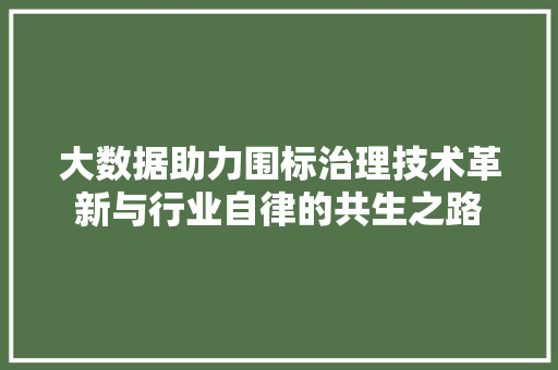 大数据助力围标治理技术革新与行业自律的共生之路