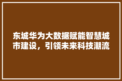 东城华为大数据赋能智慧城市建设，引领未来科技潮流