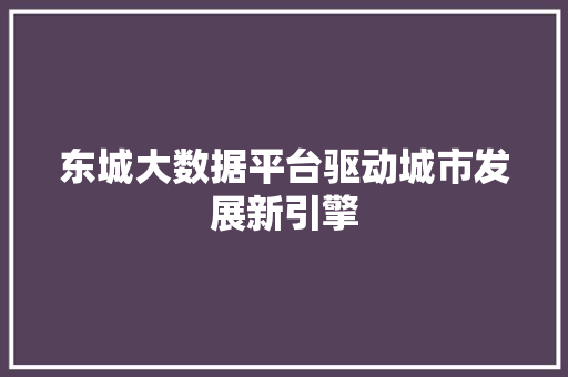 东城大数据平台驱动城市发展新引擎