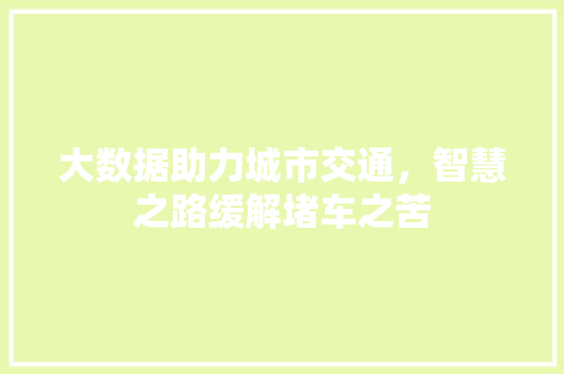 大数据助力城市交通，智慧之路缓解堵车之苦