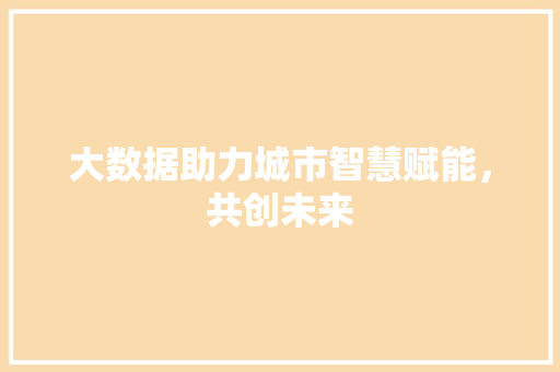 大数据助力城市智慧赋能，共创未来