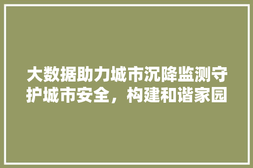 大数据助力城市沉降监测守护城市安全，构建和谐家园