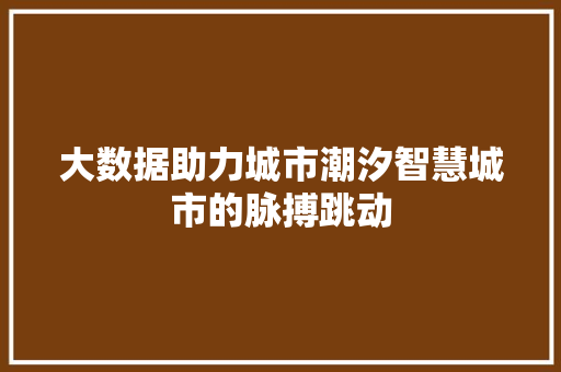 大数据助力城市潮汐智慧城市的脉搏跳动