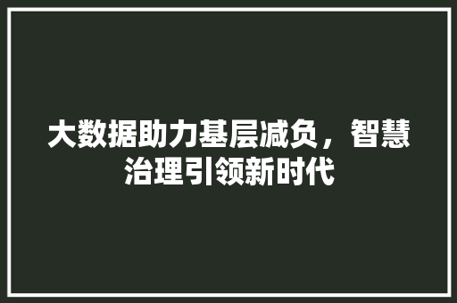 大数据助力基层减负，智慧治理引领新时代