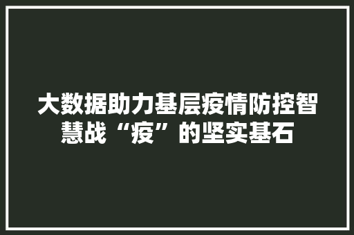 大数据助力基层疫情防控智慧战“疫”的坚实基石