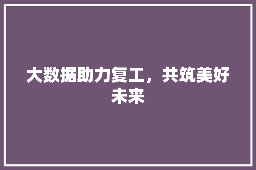 大数据助力复工，共筑美好未来  第1张