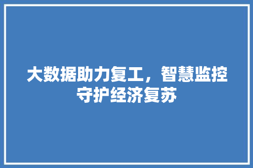 大数据助力复工，智慧监控守护经济复苏