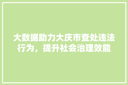大数据助力大庆市查处违法行为，提升社会治理效能