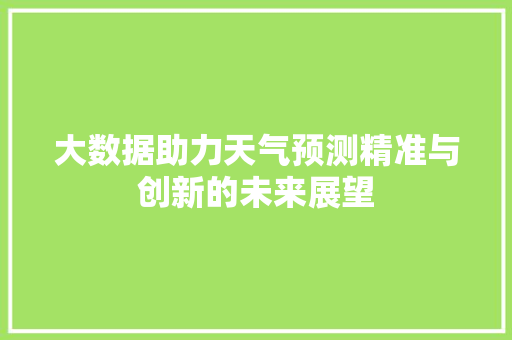 大数据助力天气预测精准与创新的未来展望