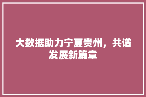 大数据助力宁夏贵州，共谱发展新篇章