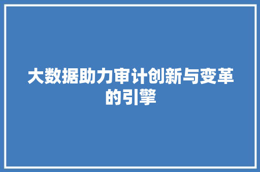 大数据助力审计创新与变革的引擎