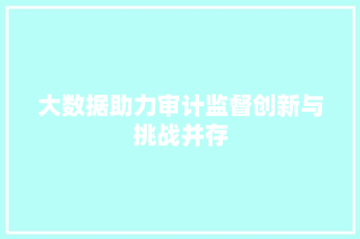 大数据助力审计监督创新与挑战并存