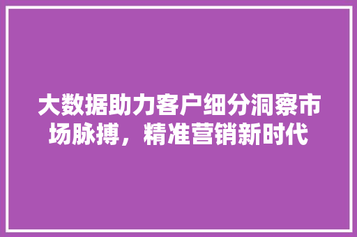 大数据助力客户细分洞察市场脉搏，精准营销新时代