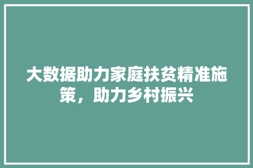 大数据助力家庭扶贫精准施策，助力乡村振兴  第1张